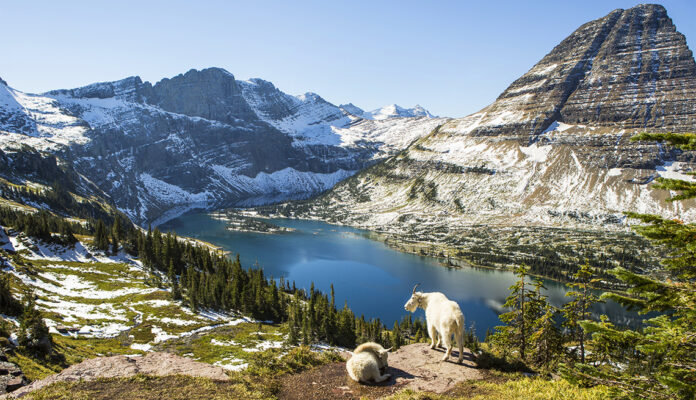 Scenic view of Glacier National Park.