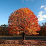 Las Entradas más caras de Estados Unidos en el 2024 »