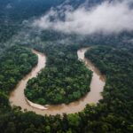 Los autos más populares en el 2024 en Estados Unidos »