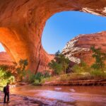 Las 10 ciudades con la mejor gastronomía en Estados Unidos »