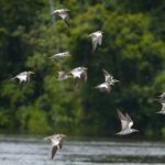 Novedades en Rendimiento Off-Road »