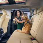 El Futuro de la Movilidad Sostenible »