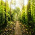 Kia América ha anunciado el precio del eléctrico EV9 2026 »