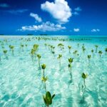 ¿En qué países donde llueve casi todos los días? »