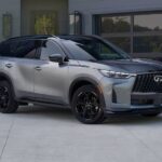 ¿Cuáles son los 5 destinos donde diciembre se vive como un cuento de invierno? »